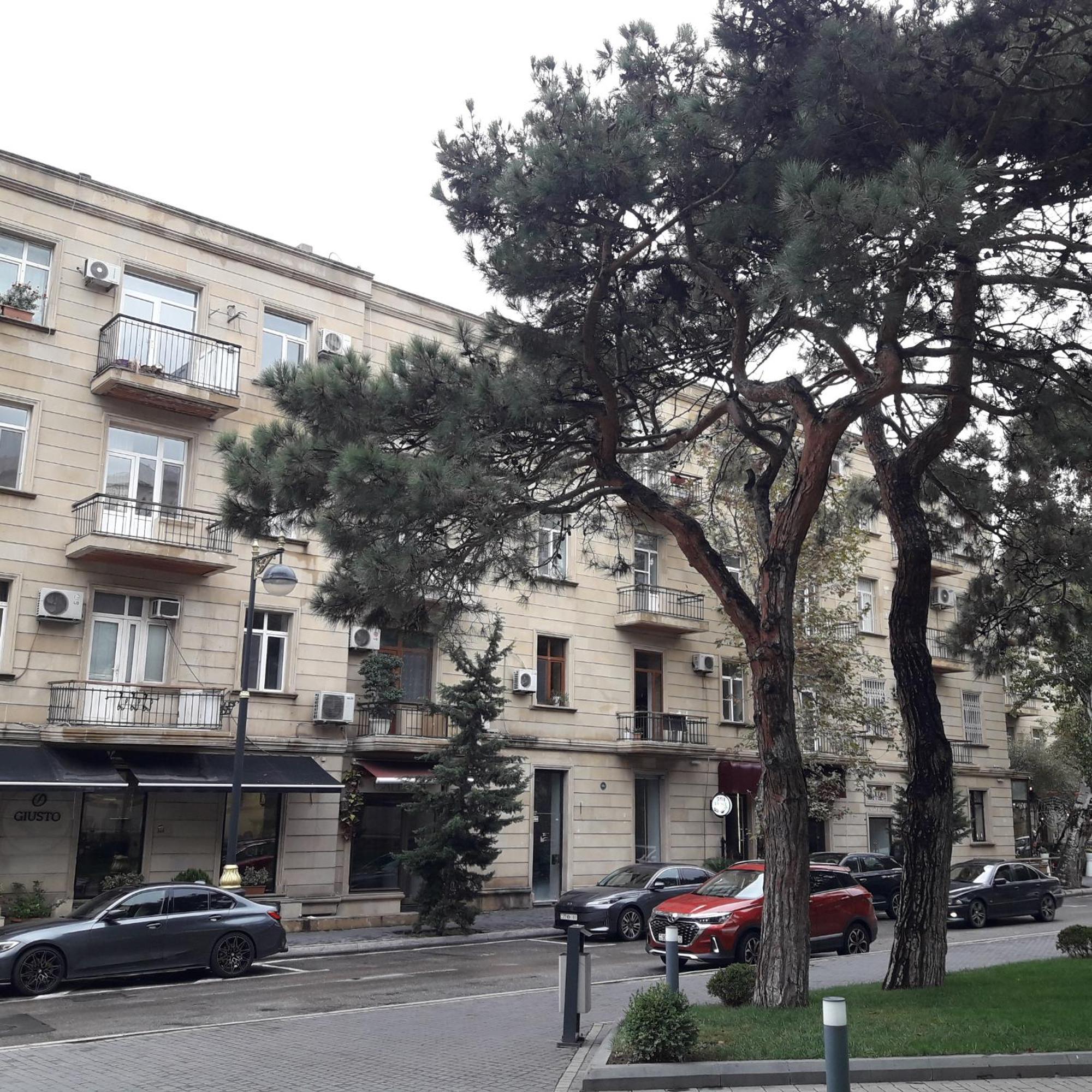 Apartment Niyazi 5 Μπακού Εξωτερικό φωτογραφία
